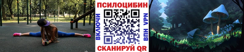 Купить закладки  Чехов  Псилоцибиновые грибы ЛСД 